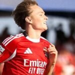 Como cortar lipídios pode emagrecer o câncer de mama