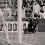 Este suplemento hepático comum pode aumentar o sucesso do tratamento contra o câncer