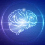 Faça-se Ouvir: Um Compromisso Contra a Violência Doméstica