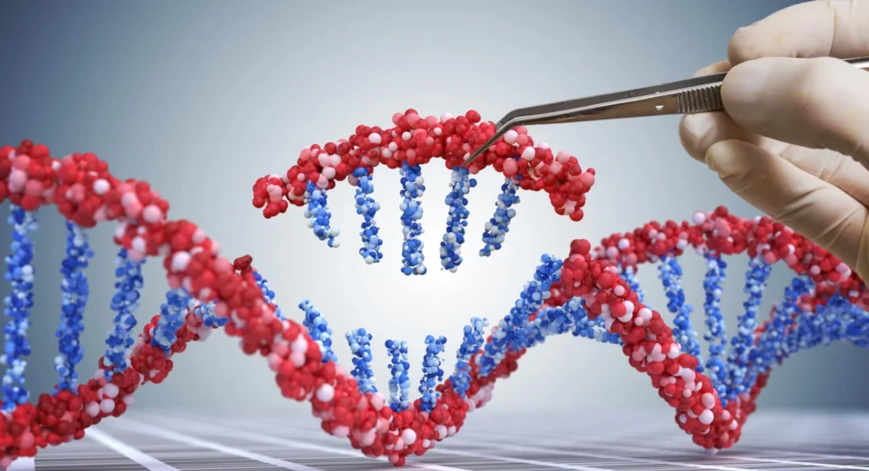 CRISPR reativa gene ancestral que previne gota e fígado gorduroso