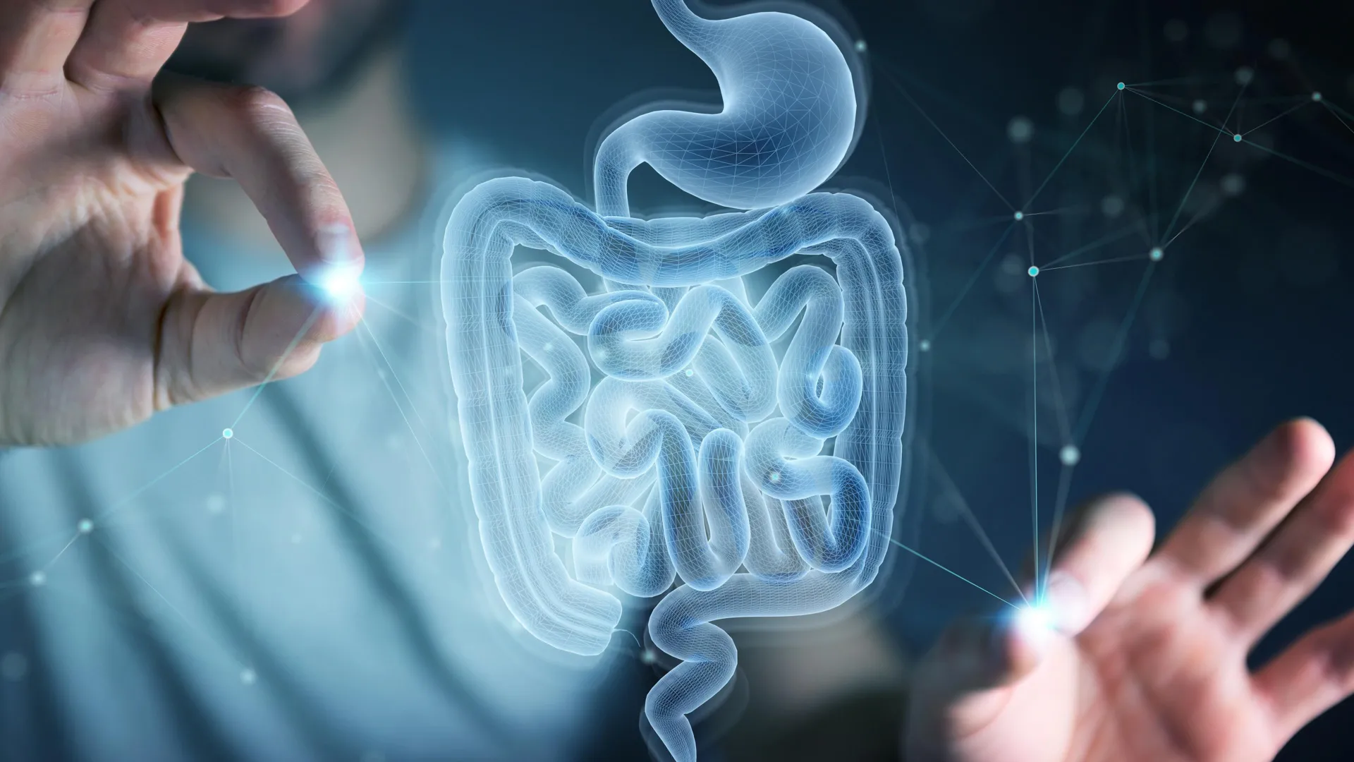 MIT descobre aminoácido que ajuda o intestino a se regenerar