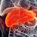 Portugal goleia Arménia e garante passagem para o Mundial 2026