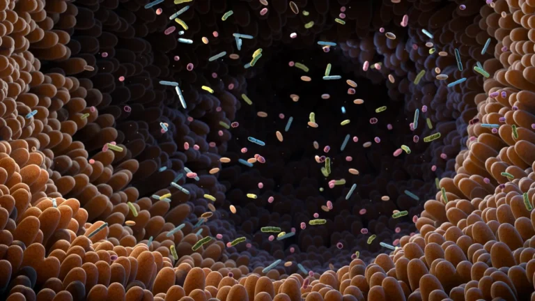 Cientistas encontram 15 bactérias intestinais que podem impulsionar doenças cardíacas