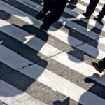 Chimpanzés surpreendem cientistas ao mudar suas opiniões com novas evidências