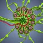 Estugarda conquista vitória surpreendente e garante vaga na Liga dos Campeões