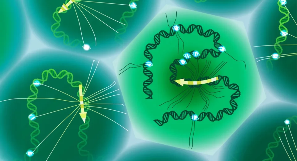 Cientistas desvendaram o código oculto do DNA que molda doenças
