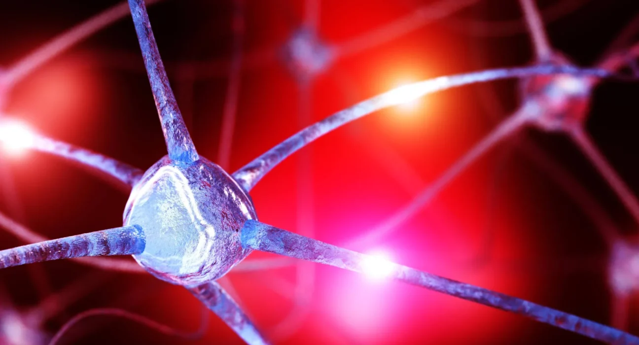 Cientistas descobrem queda de nutriente cerebral oculto que pode alimentar a ansiedade