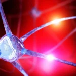 Tratamento experimental de RNA demonstra surpreendente poder de reparo do DNA