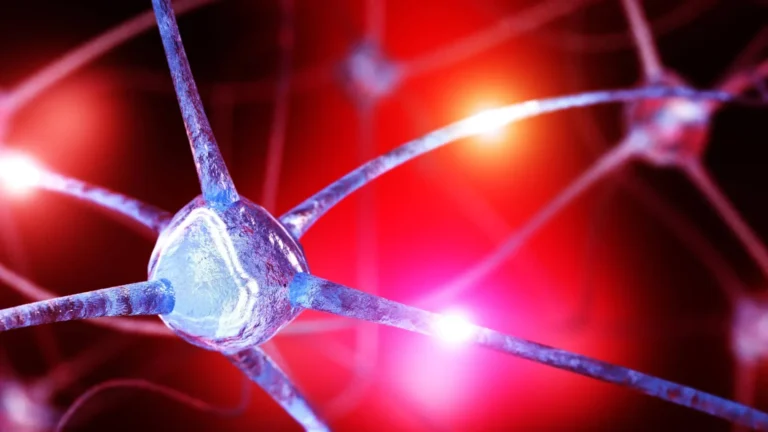 Cientistas descobrem queda de nutriente cerebral oculto que pode alimentar a ansiedade
