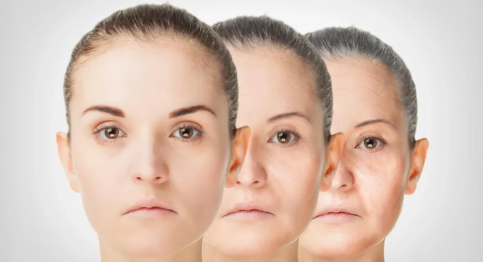 Moléculas de sangue ocultas revelam surpreendente poder anti