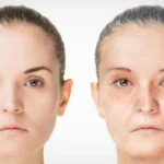 Cientistas descobrem camadas ocultas no centro de memória do cérebro