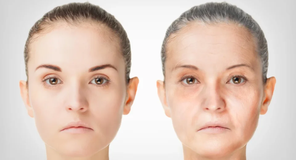 Imported Article – 2025-12-08 00:49:53