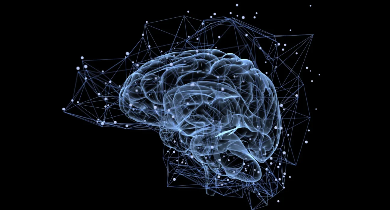 Cientistas descobrem um circuito cerebral oculto que reescreve a visão