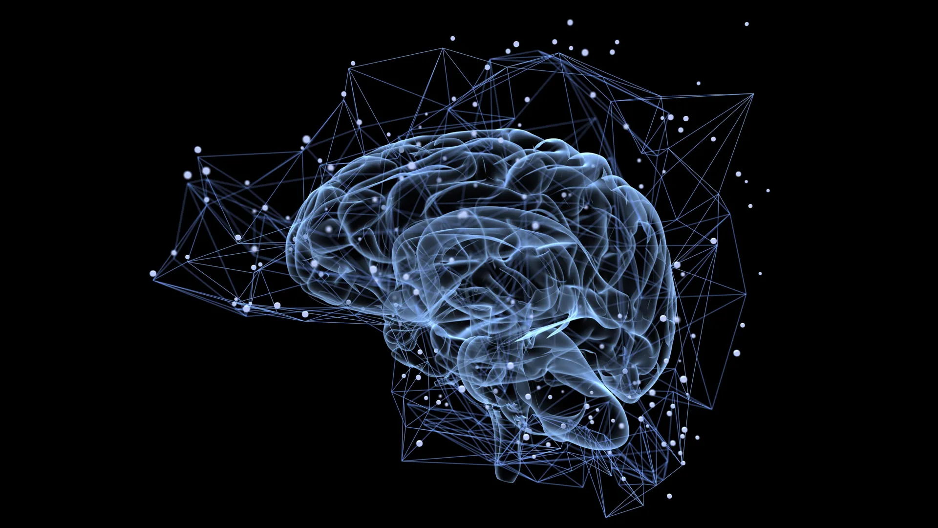 Cientistas descobrem um circuito cerebral oculto que reescreve a visão
