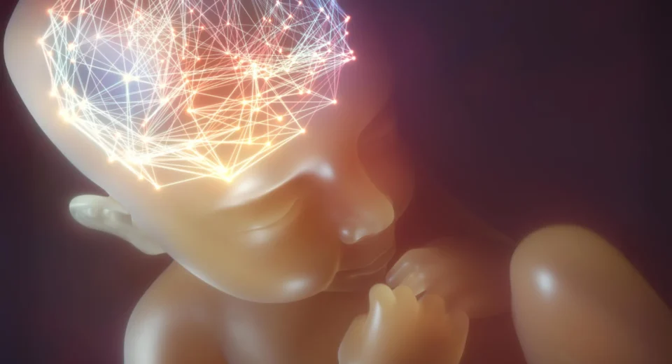 Cientistas descobrem danos cerebrais ocultos causados por um pesticida comum