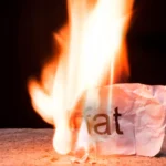 Cientistas descobrem camadas ocultas no centro de memória do cérebro