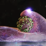 Greve Extremada e a Difícil Ressaca da Galp: Veja o Rating Desta Semana