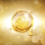 Festa de Natal Sénior 2025: Espetáculo Cristina Branco canta José Afonso