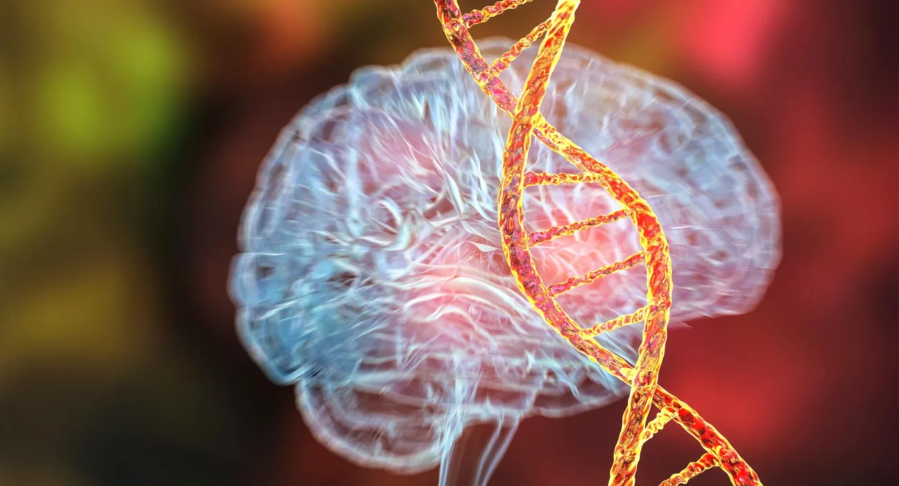 Cientistas descobrem o primeiro gene comprovadamente responsável por causar doenças mentais