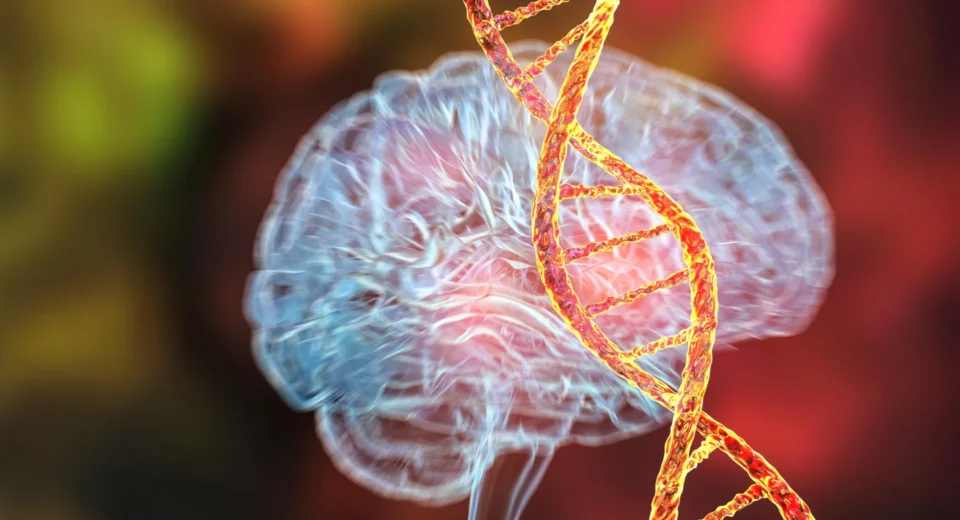 Cientistas descobrem o primeiro gene comprovadamente responsável por causar doenças mentais