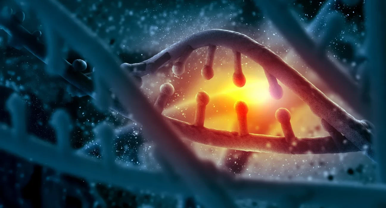 Tratamento experimental de RNA demonstra surpreendente poder de reparo do DNA