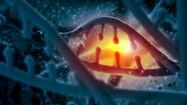 Tratamento experimental de RNA demonstra surpreendente poder de reparo do DNA