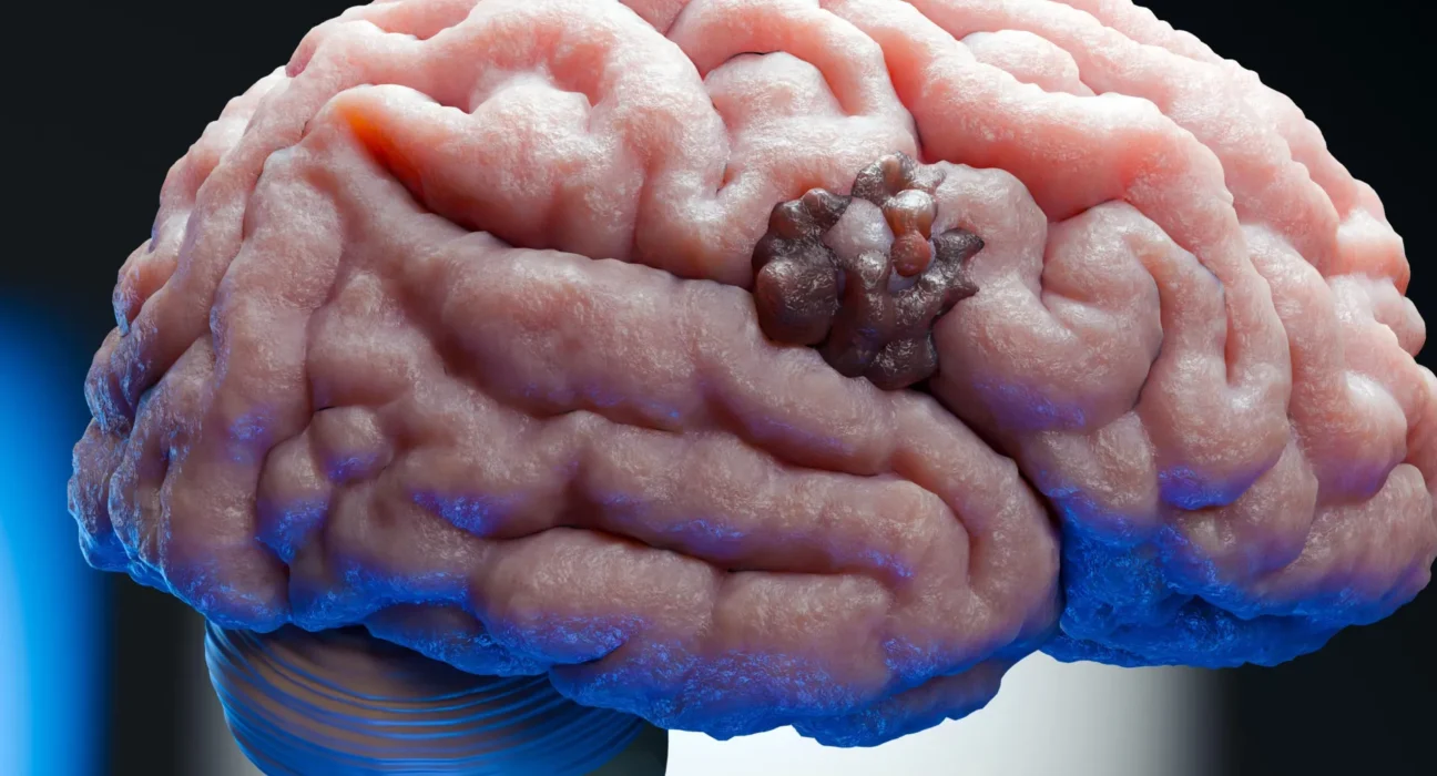 Imported Article – 2025-12-19 20:02:15