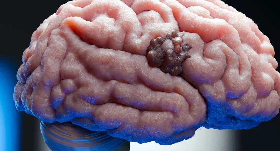 Imported Article – 2025-12-19 20:02:15