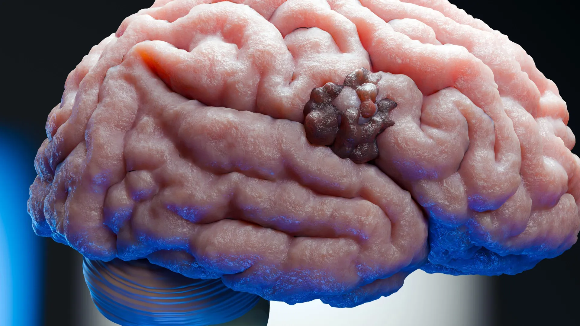 Imported Article – 2025-12-19 20:02:15