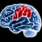 Campeonato Nacional de Basquetebol: Sporting é derrotado, FC Porto e Benfica saem vitoriosos