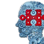 Dicas para Comprar Frutos Secos de Qualidade Neste Natal