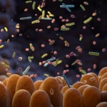 Freecash apresenta a experiência definitiva de ganhar dinheiro enquanto desfruta da Netflix