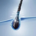 Sábados em Família na Biblioteca: 13 e 27 de Dezembro