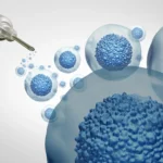 Benfica Vira Jogo na Choupana e Vence Nacional por 2-1