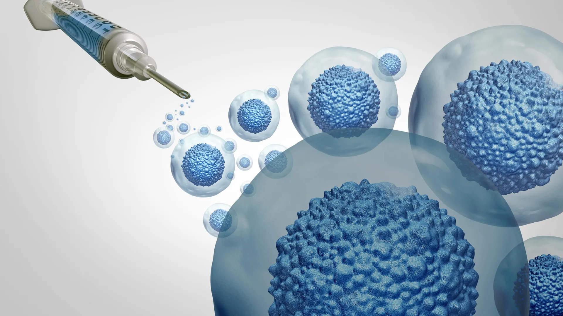 Stanford torna os transplantes de células-tronco mais seguros sem quimioterapia