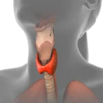 Programação Cultural da Biblioteca e Bedeteca em Janeiro