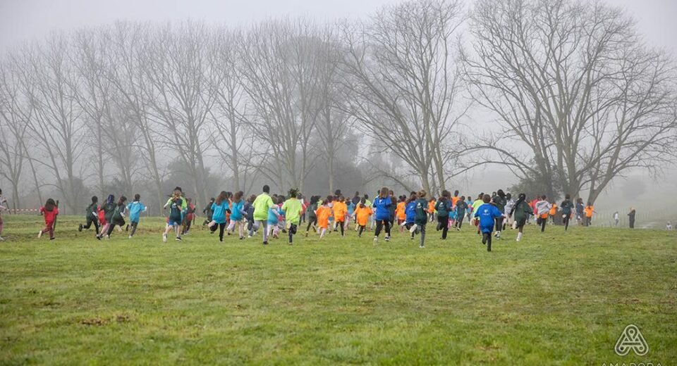 38.º Jogos Juvenis Escolares da Amadora: Início com Corta