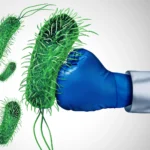 Segunda volta das Presidenciais: CNE explica que boletins de voto conterão dois candidatos