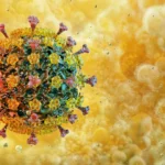 A Poluição do Ar Anula Silenciosamente os Benefícios do Exercício