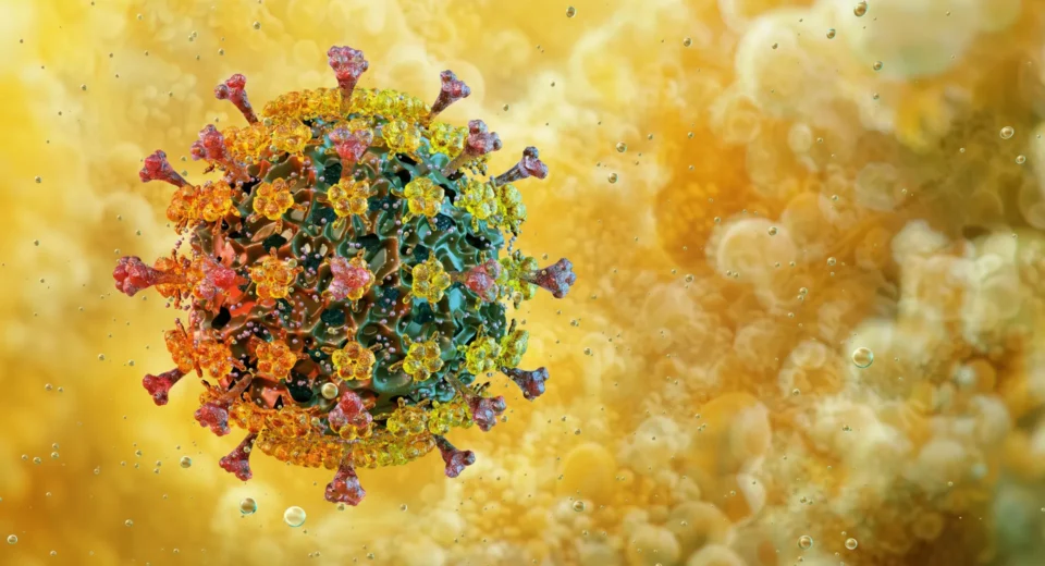 Imported Article – 2026-01-04 12:30:15