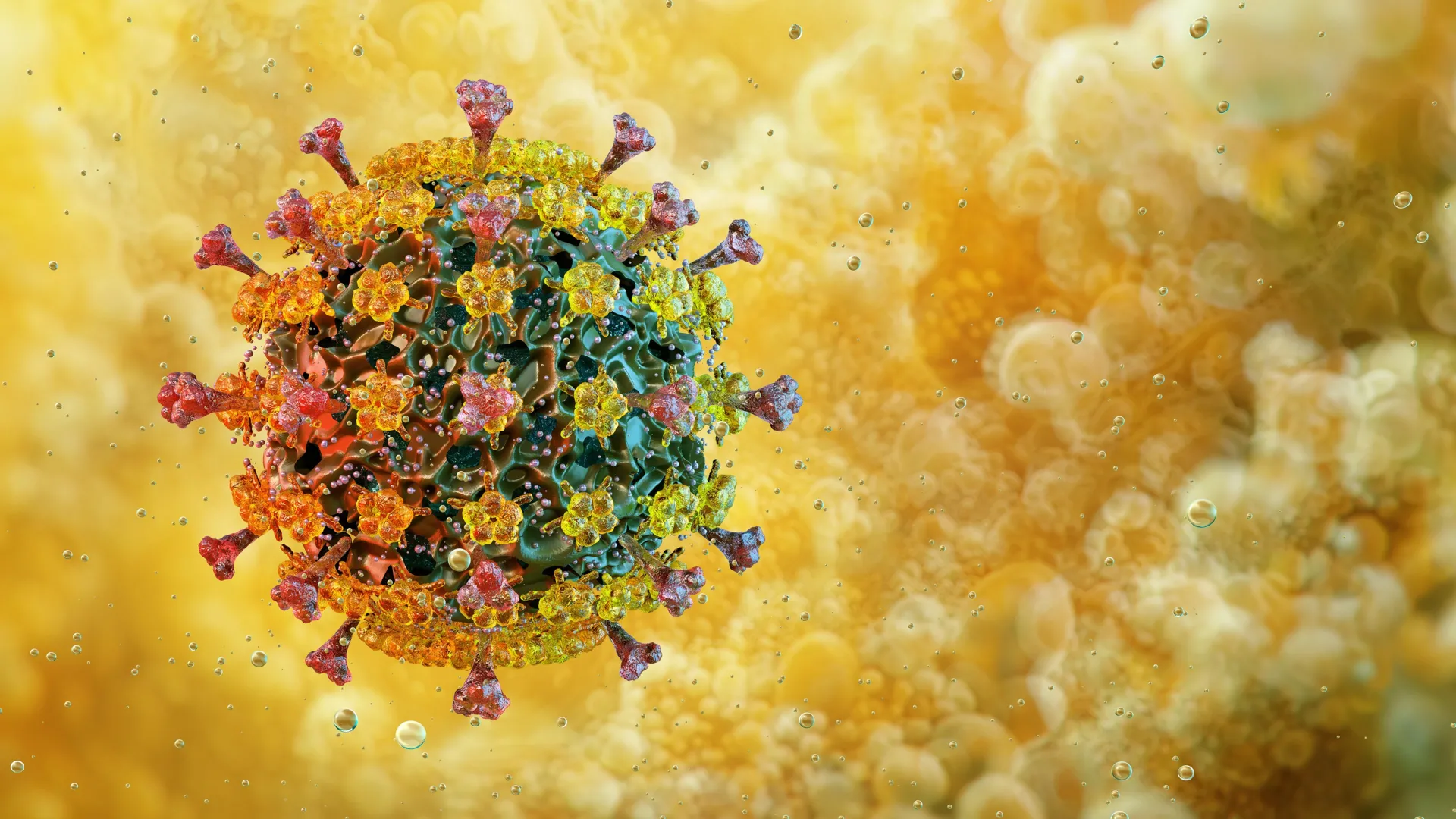 Imported Article – 2026-01-04 12:30:15