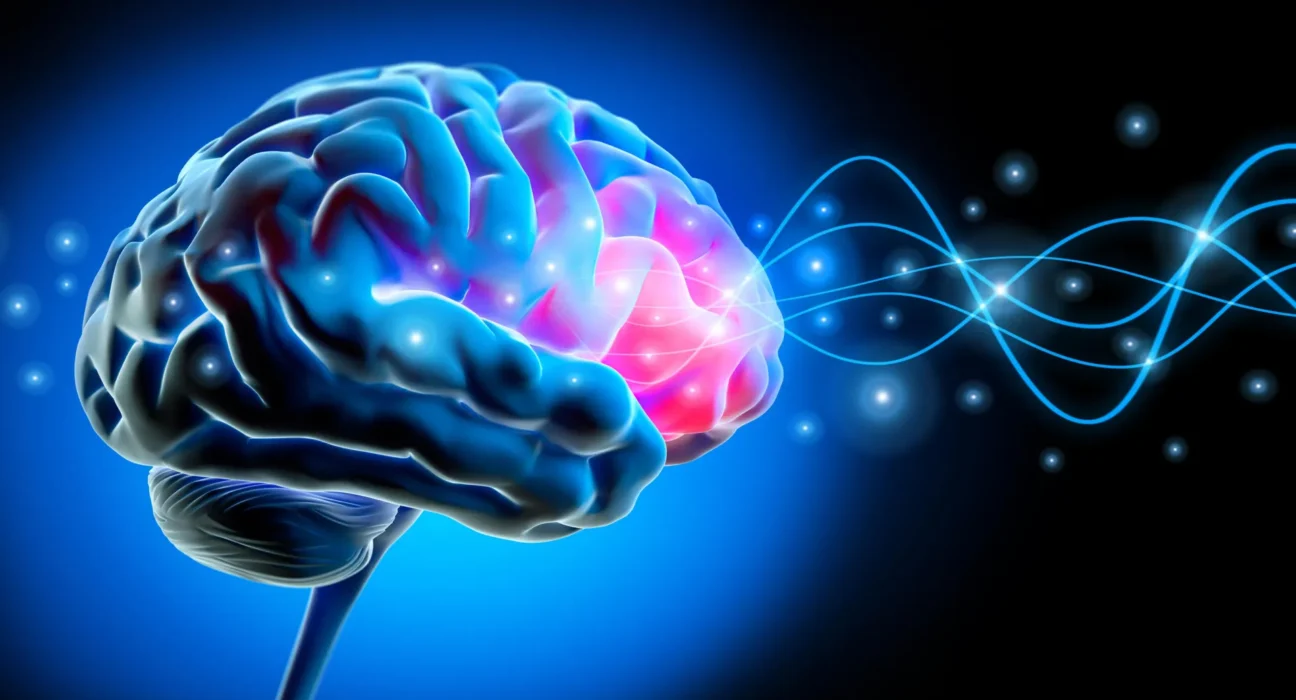 Cientistas descobrem o ritmo cerebral que faz seu corpo parecer seu