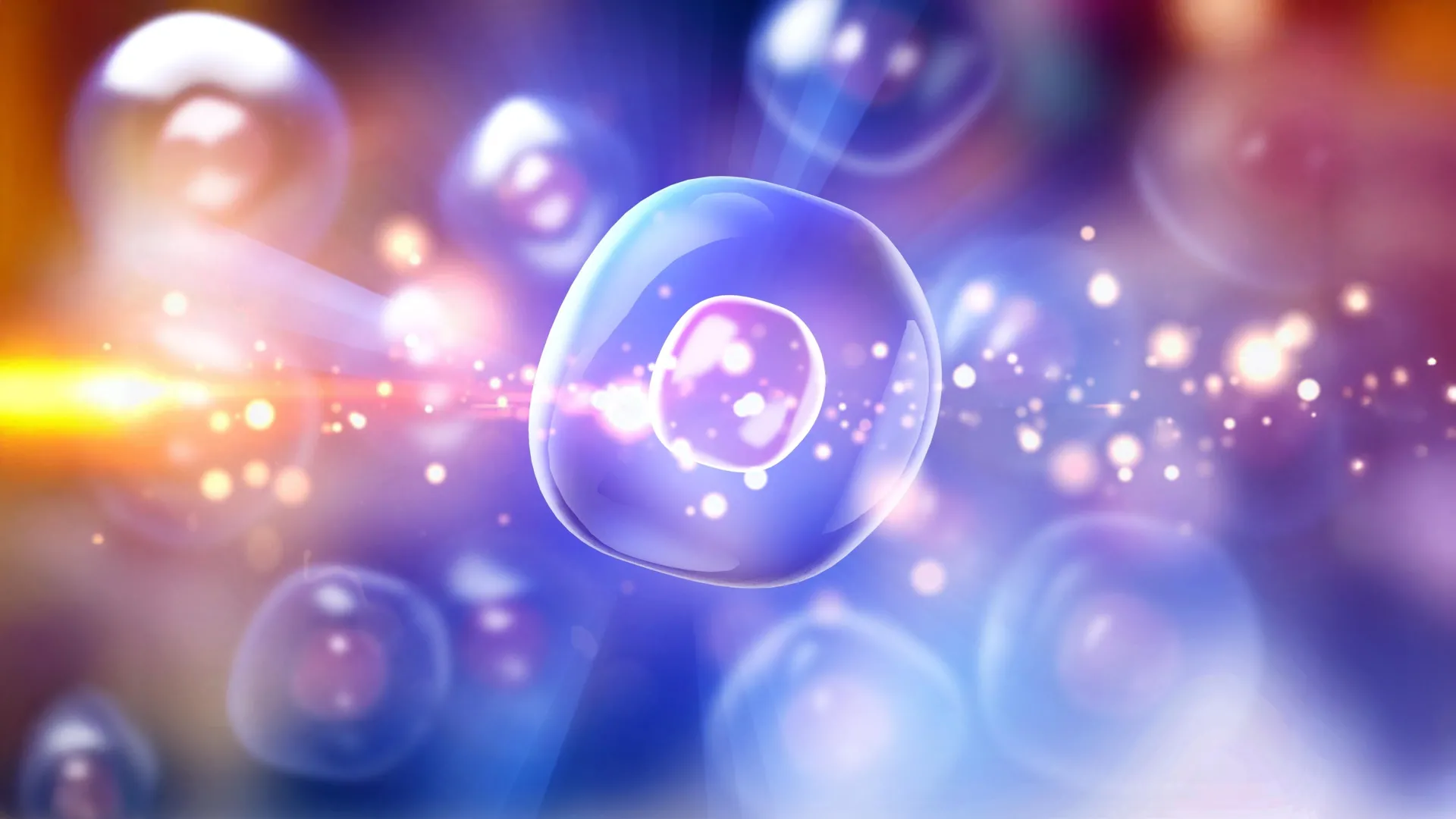 A nova terapia celular de Stanford cura diabetes tipo 1 em camundongos