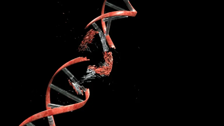 A Regra dos 4x: Por que o DNA de algumas pessoas é mais instável que o de outras