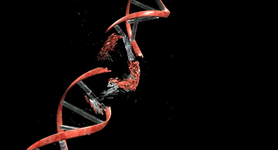 A Regra dos 4x: Por que o DNA de algumas pessoas é mais instável que o de outras