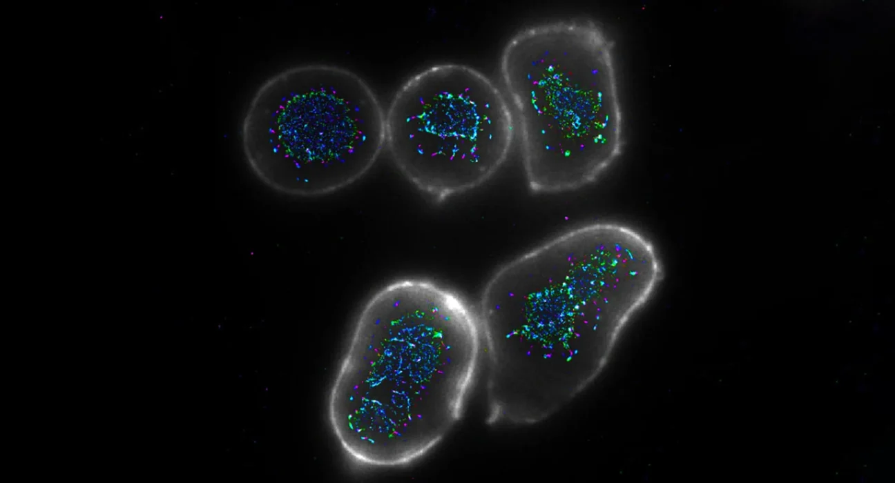 Imported Article – 2026-01-27 22:56:45