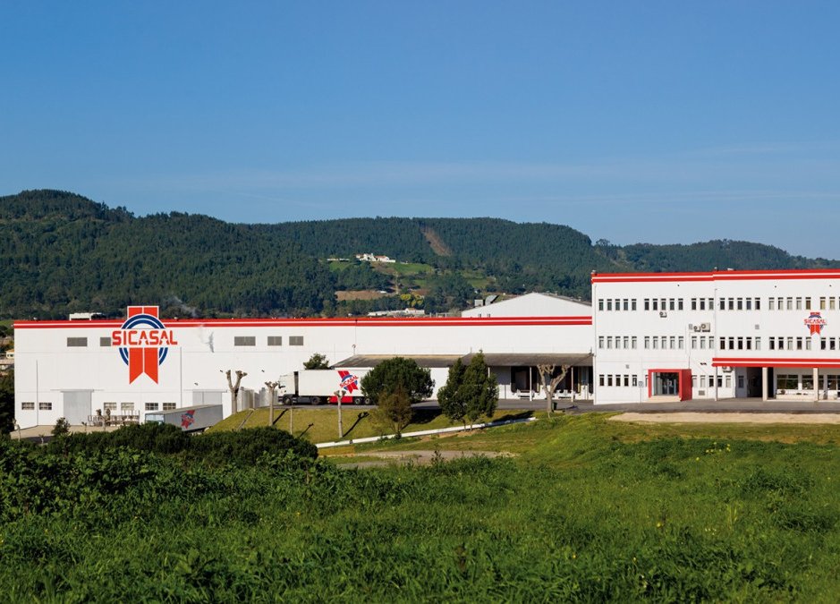 Sicasal: Falência por Dívidas e Prejuízos Acumulados