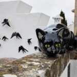 Visita ao Espaço de Coleções, Memórias e Curiosidades de José Neiva Vieira em 21 de Fevereiro