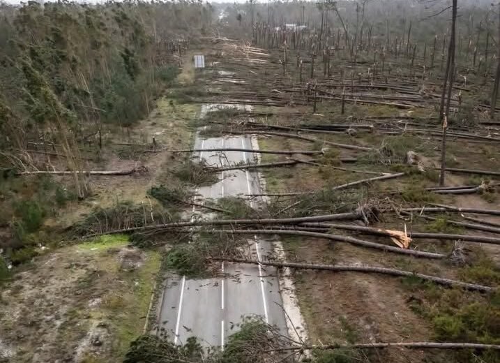 Imported Article – 2026-02-13 06:30:13