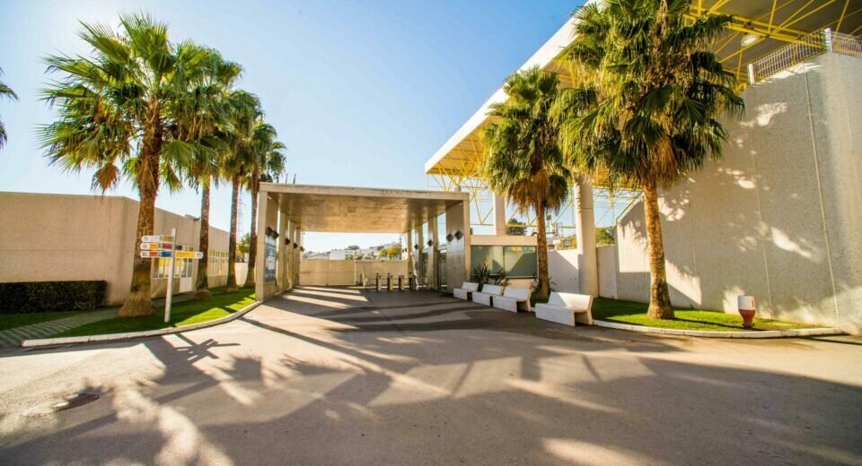 Imported Article – 2026-02-09 03:30:10